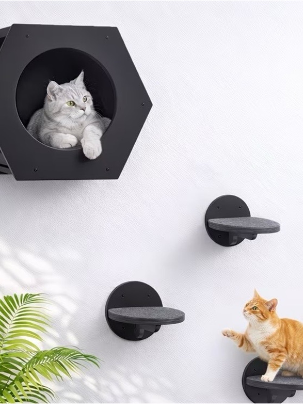 Hexagonal Black Wooden cat climbing wall with steps